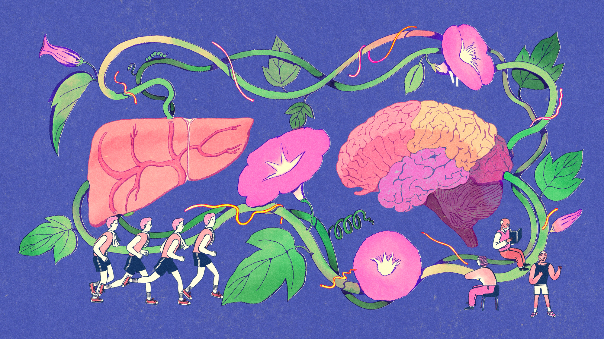 Illustration of a brain and liver connected by a healthy vine, with little people exercising and reading scattered throughout.
