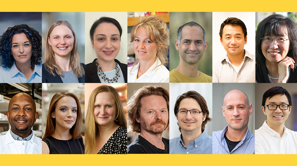 Lead image for the announcement of the recipients of the 2023 Pilot Awards.