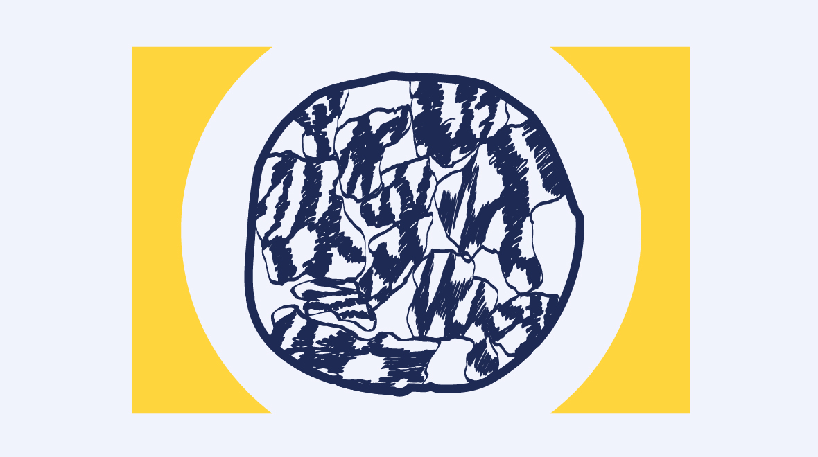 SFARI spotlight image.