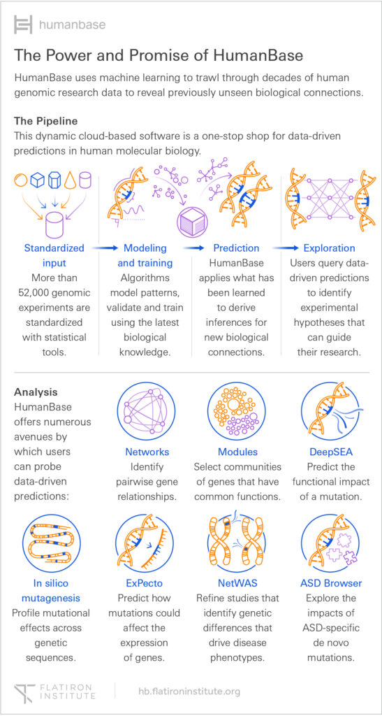 Infographic explaining HumanBase, a data-driven platform for genomics research, showing its pipeline steps, including data collection, modeling, prediction, exploration, and examples of key tools and applications.