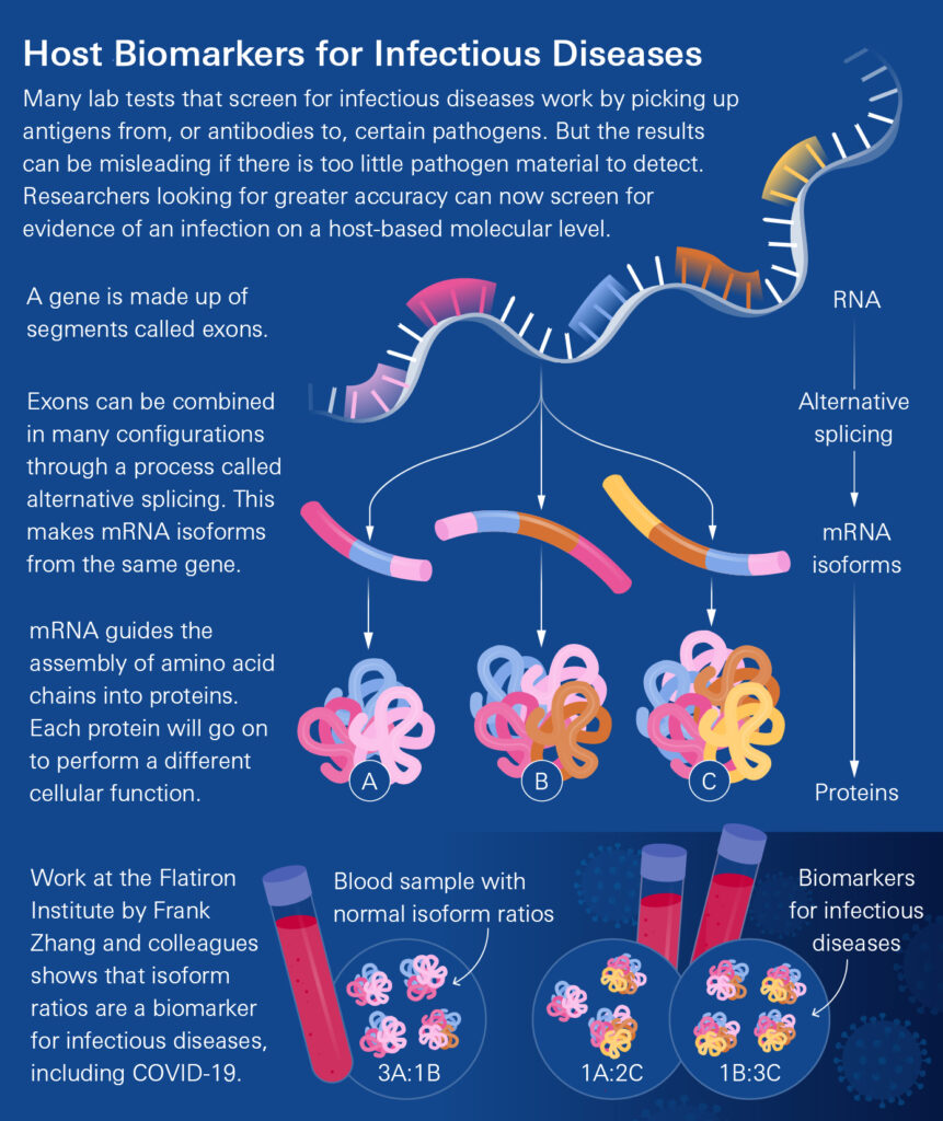 Infographic explains how host biomarker ratios from alternative RNA splicing can indicate infectious diseases, showing RNA exons, mRNA isoforms, proteins, and a blood sample with normal versus infectious disease ratios.