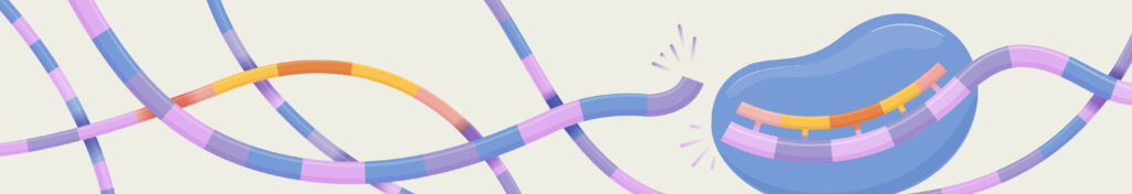 Colorful, intertwined strands are illustrated, with one segment being cut by a blue, bean-shaped structure featuring highlighted sections, symbolizing molecular or genetic editing.