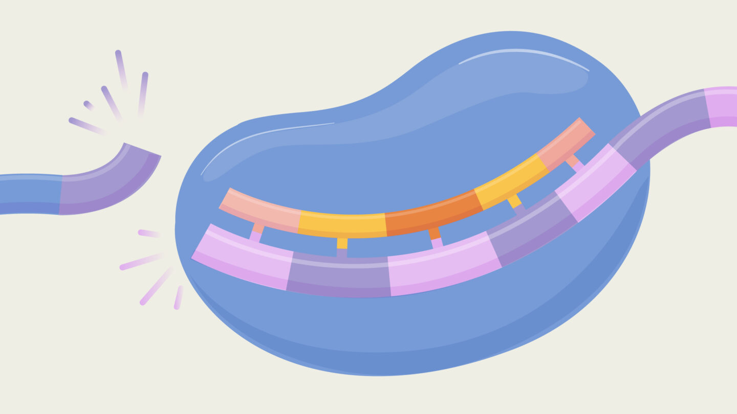 A stylized illustration showing a broken, multicolored strand being repaired inside a blue, bean-shaped structure, representing DNA repair within a cell.