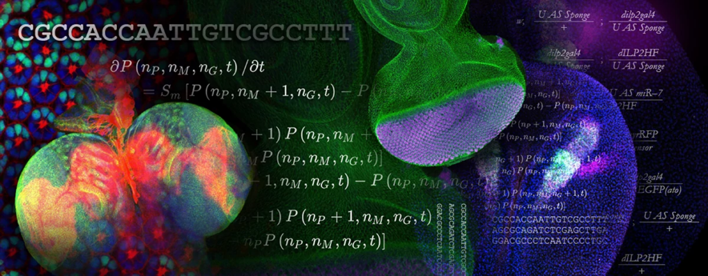 Colorful scientific collage featuring DNA sequences, mathematical equations, microscopic images of cells, and abstract shapes blending together, symbolizing the intersection of biology, math, and computer science.