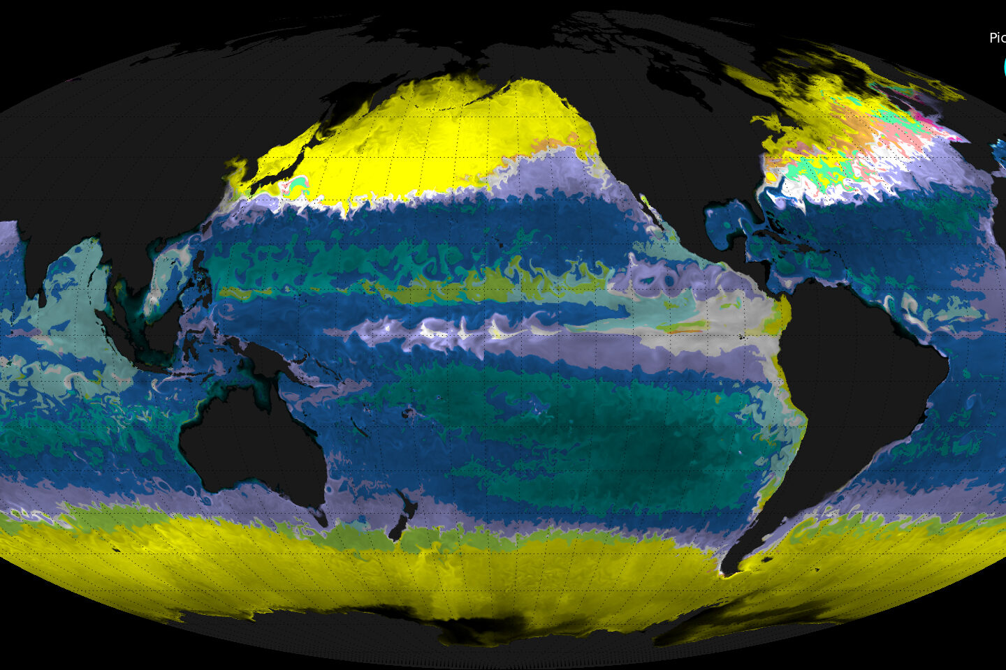 Microbial view of the world