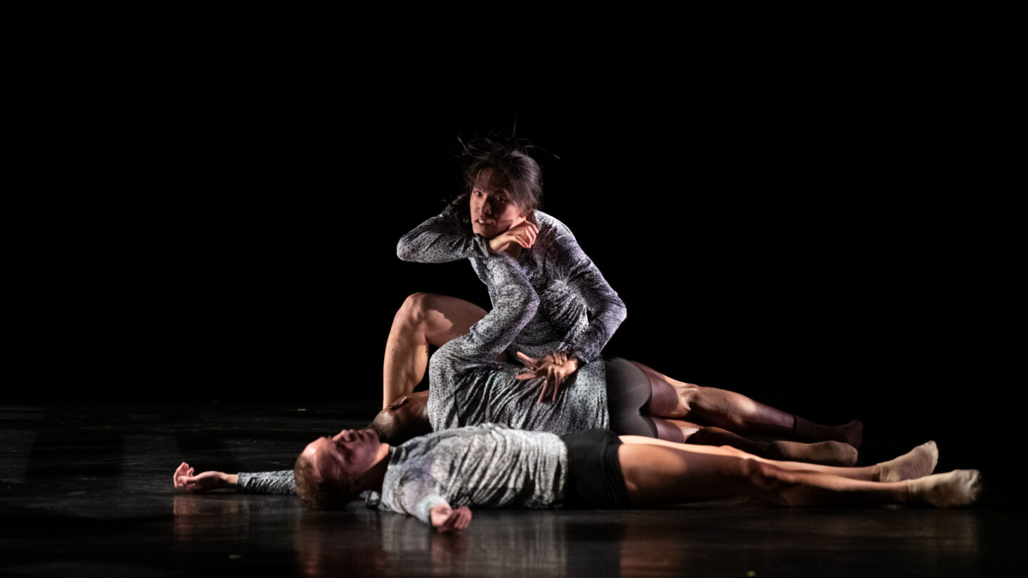 A photograph of multiple people engaged in a dance performance.