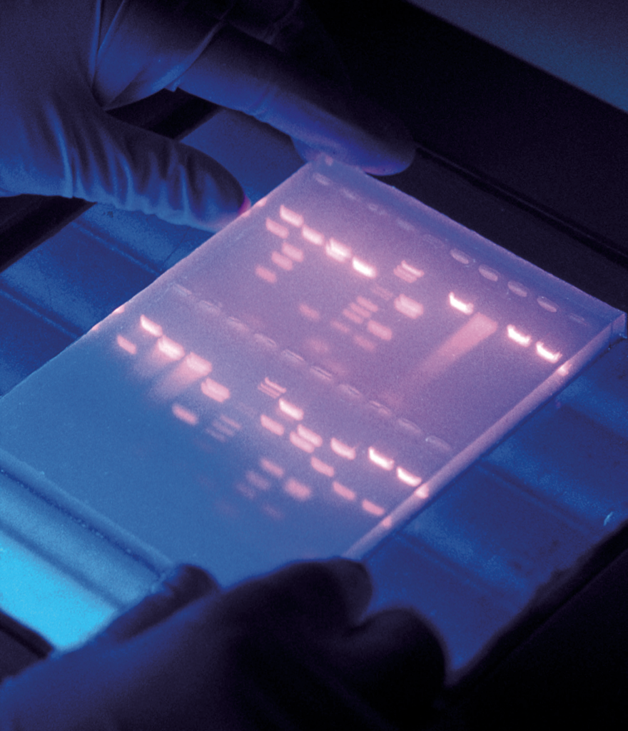 Image of genetic sequencing