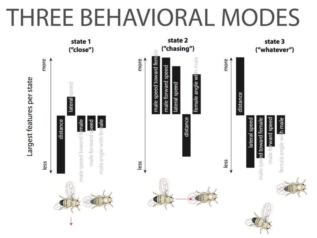 Three graphs demonstrating three behavioral modes for fruit flies. Male fruit flies react differently to females depending on their behavioral state: 'close', 'chasing', and 'whatever'.