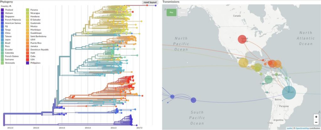 An image of two diagrams depicting a phytogeographic analysis of the Zika virus between 2012 and 2017. The left diagram, titled 