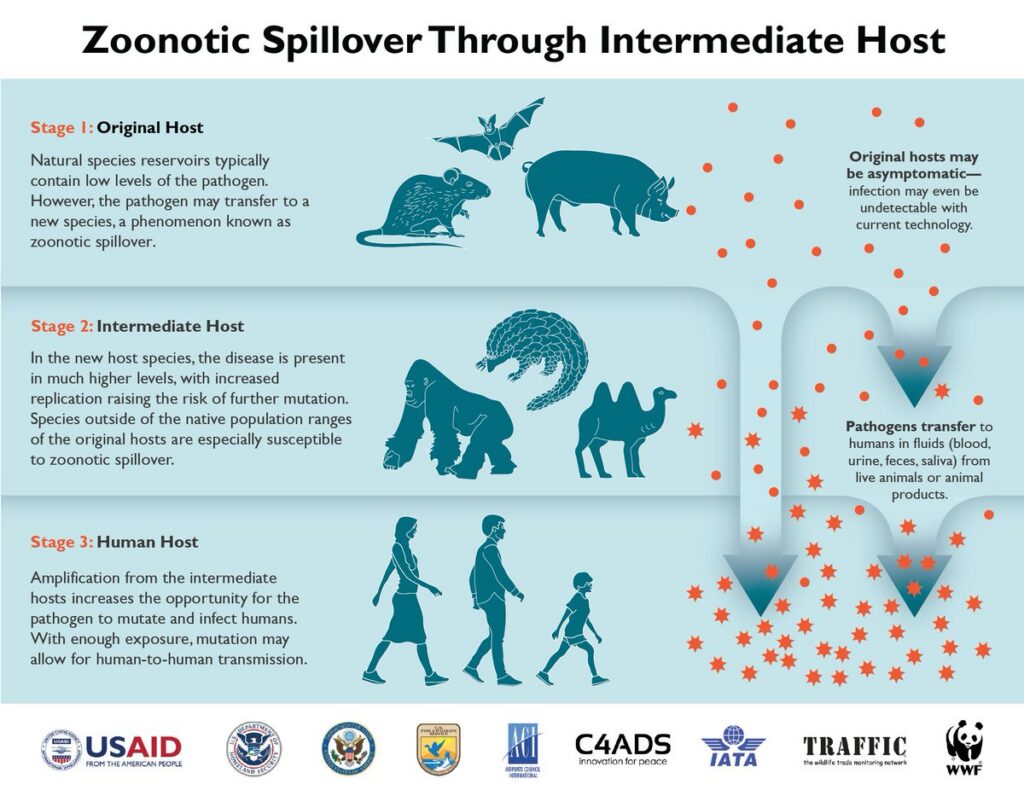 A digital infographic illustrating 