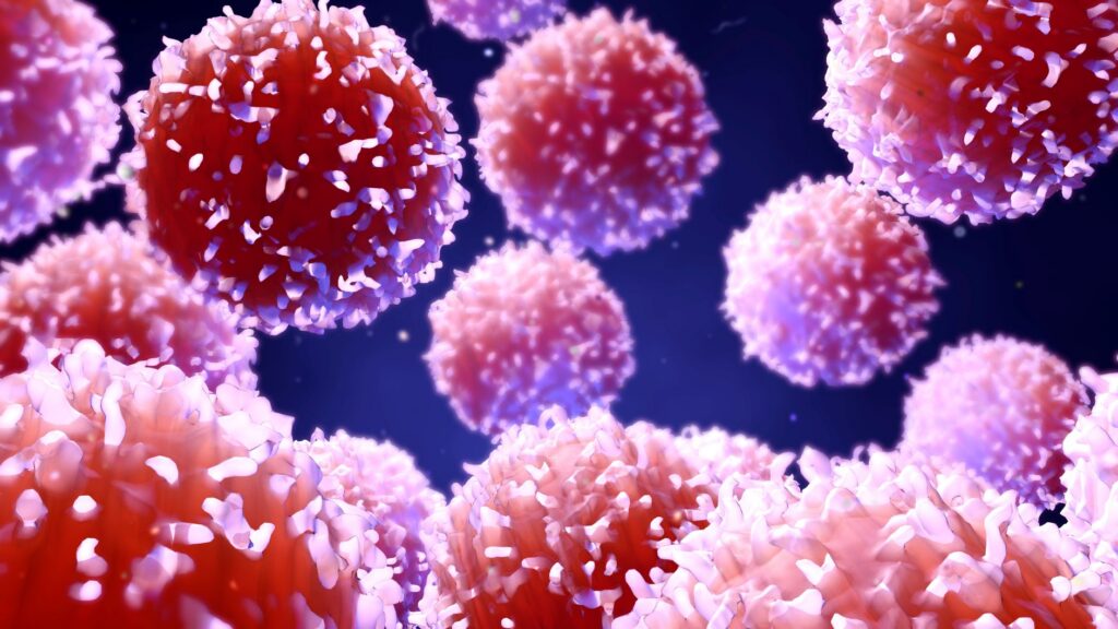 A digital illustration of a group of T-cells, which appear as red spheres with short, nubby white-tipped protrusions covering their surfaces.