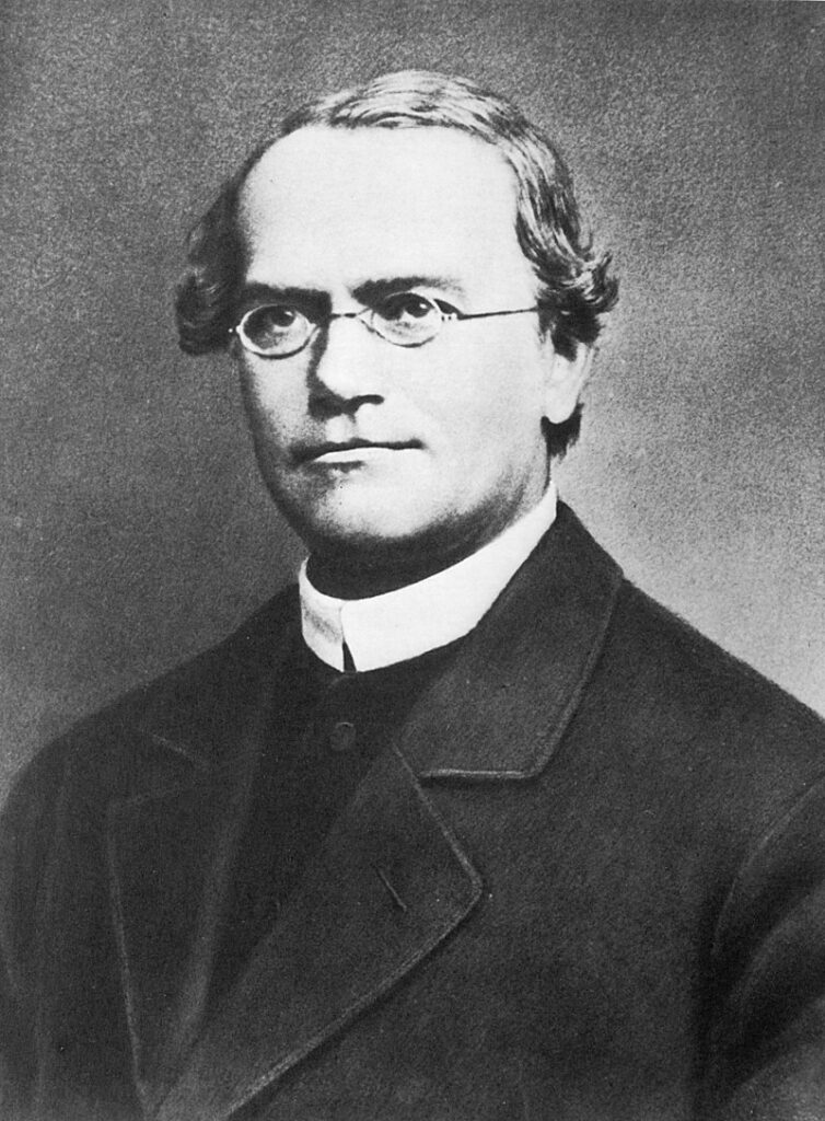 A portrait photograph of Gregor Mendel.