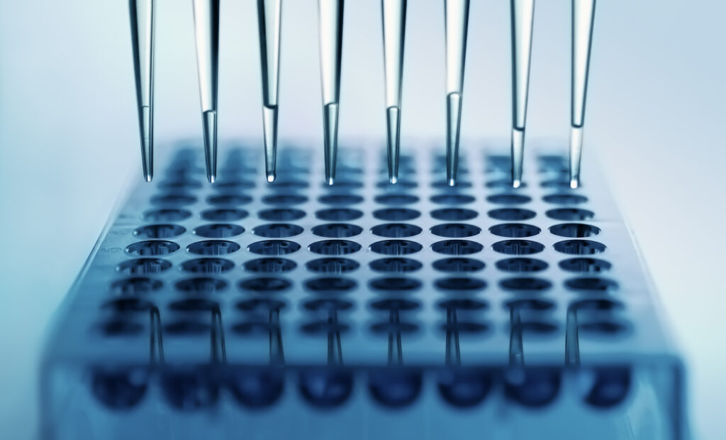 A pipette depositing liquid samples in a panel with wells.