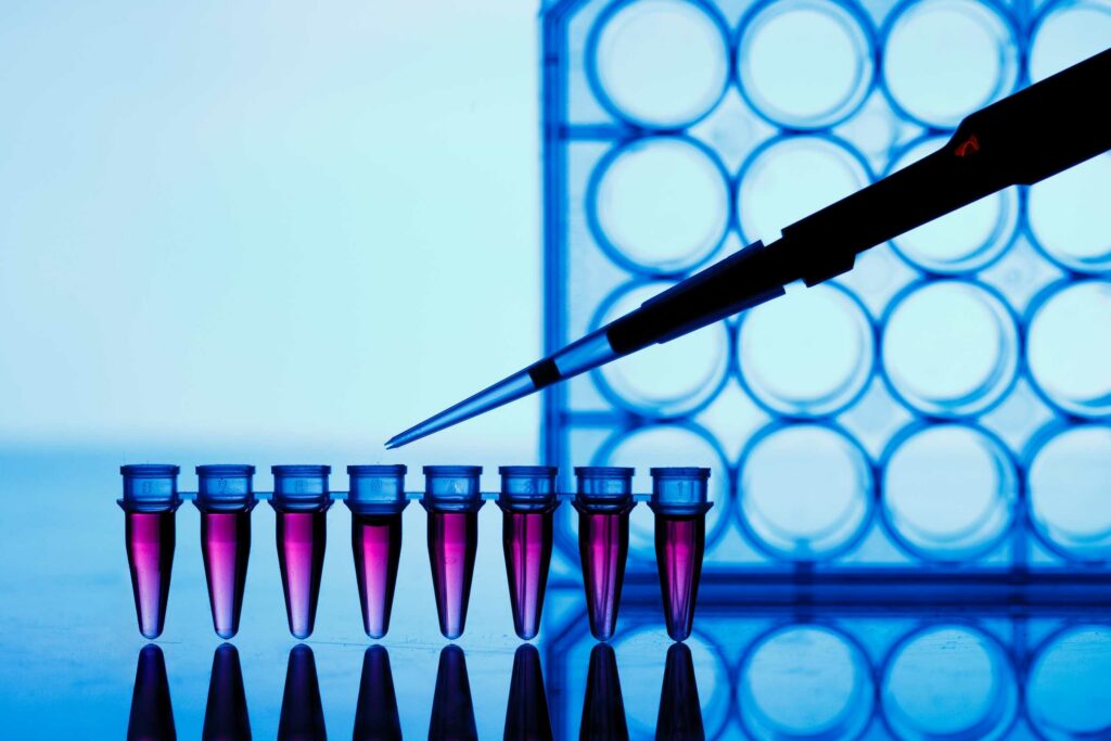 PCR strip test tubes and micropipette in genetics laboratory.