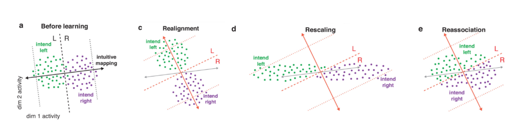 Four scatter plots show neural activity changes from before learning (intuitive mapping) to three learning mechanisms: realignment, rescaling, and reassociation, comparing intentions to move left or right.