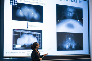 A person points at a large projection screen displaying scientific images and data, possibly related to neuroscience or microscopy, during a presentation.