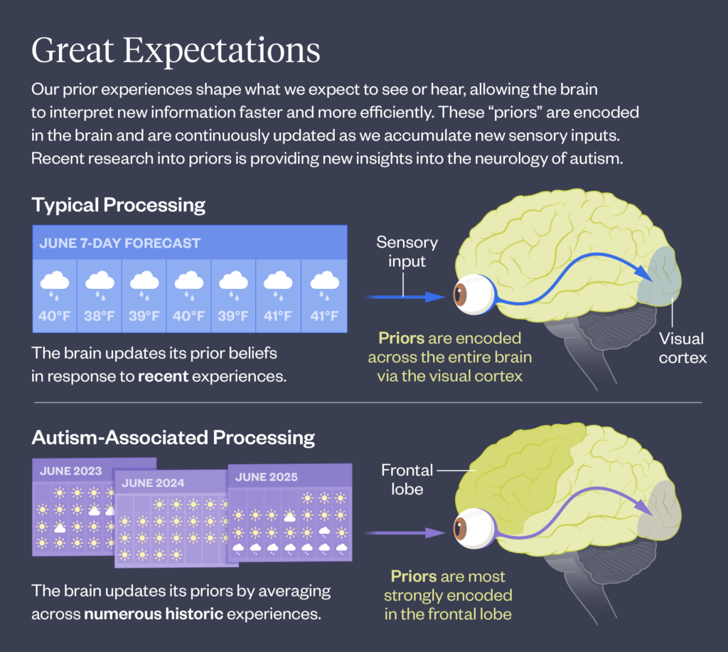 Diagram comparing typical and autism-associated brain processing of sensory input, showing differences in how prior experiences are encoded in the brain and illustrated with weather forecast icons and color-coded brain regions.