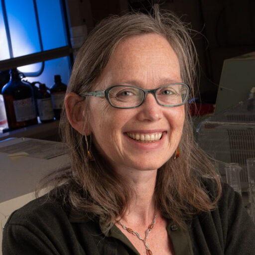 Rozalyn Andrerson - Plasticity and the Aging Brain Investigator