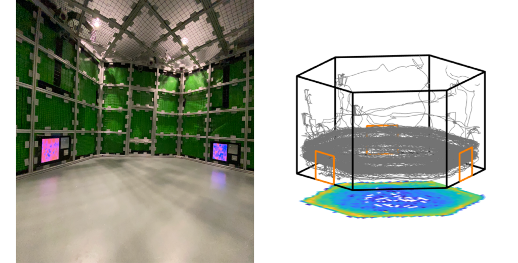 Photo of hexagonal space for freely moving monkey experiments.