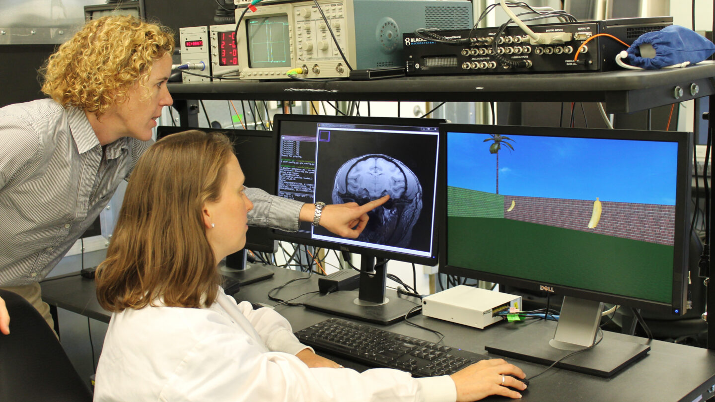 Beth Buffalo, a SCGB investigator and neuroscientist at the University of Washington, studies the entorhinal cortex in primates