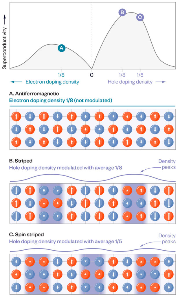 Graph showing superconductivity versus doping density, with diagrams of electron/hole doping arrangements: antiferromagnetic, striped with density peaks, and spin striped states, highlighting changes in electron and hole patterns.
