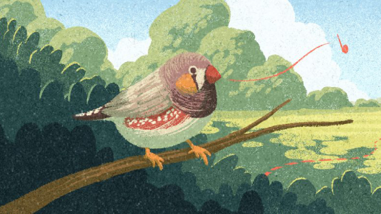 bird perched on a branch with a stringed note coming from its beak