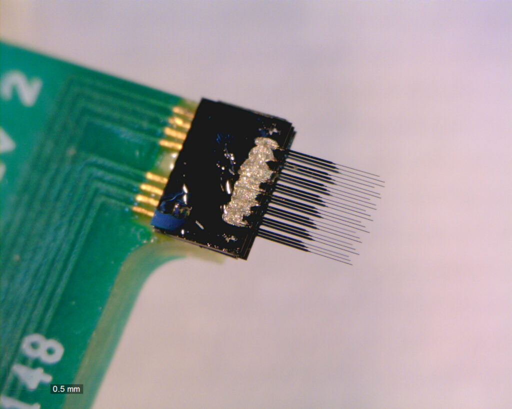 Tiny electrodes on a carbon fiber array