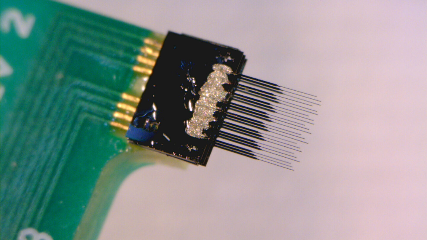 Tiny electrodes on a carbon fiber array