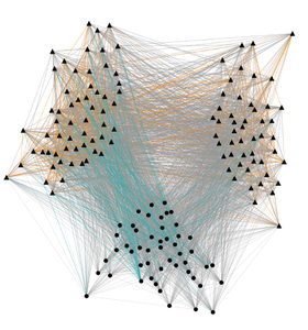 A complex network diagram with black triangles and circles connected by numerous intersecting colored lines, showing groups and relationships among data points.