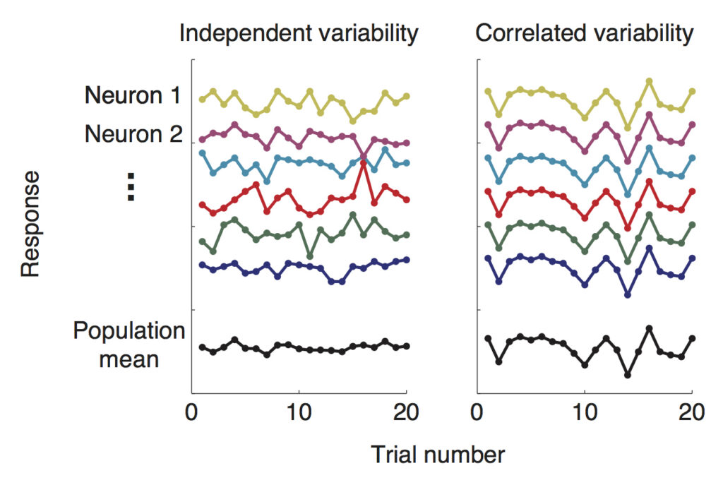 Two graphs showing activity of correlated and uncorrelated neurons