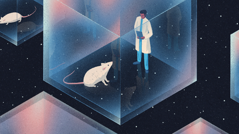 scientist observes white mouse