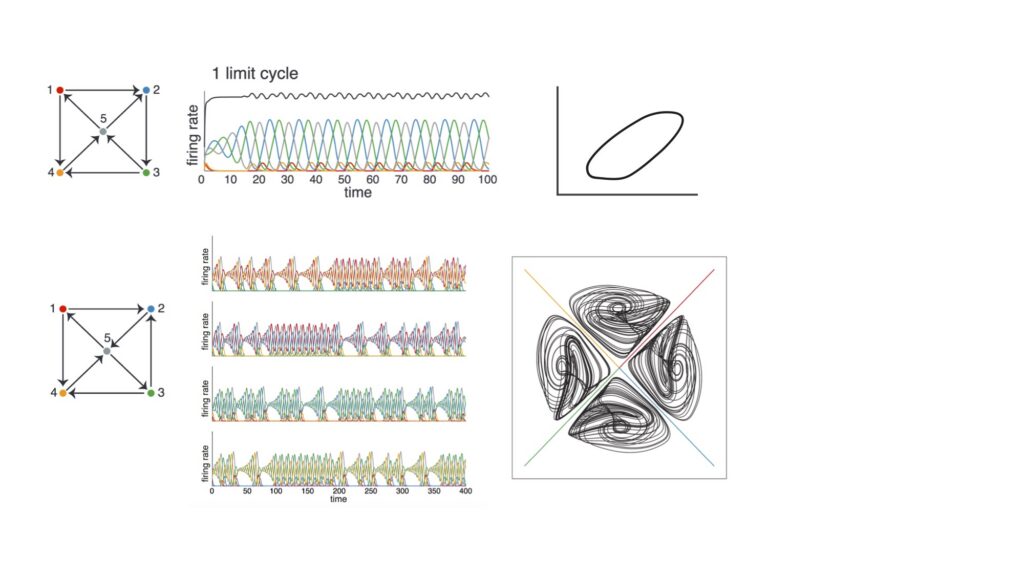 Image showing how the top network produces a rhythmic firing pattern, whatever the initial conditions. The circular projection graph reflects that this network always settles into a perfectly periodic pattern.