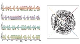 Image showing how the top network produces a rhythmic firing pattern (left), whatever the initial conditions. The circular projection graph (right) reflects that this network always settles into a perfectly periodic pattern.