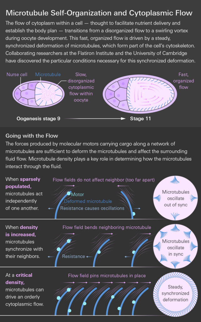Infographic Titled 