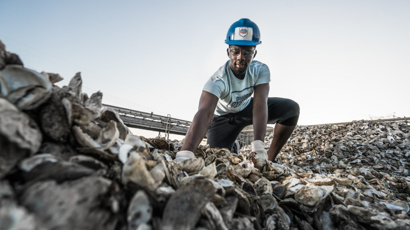 Someone kneels on a hill of oyster shells