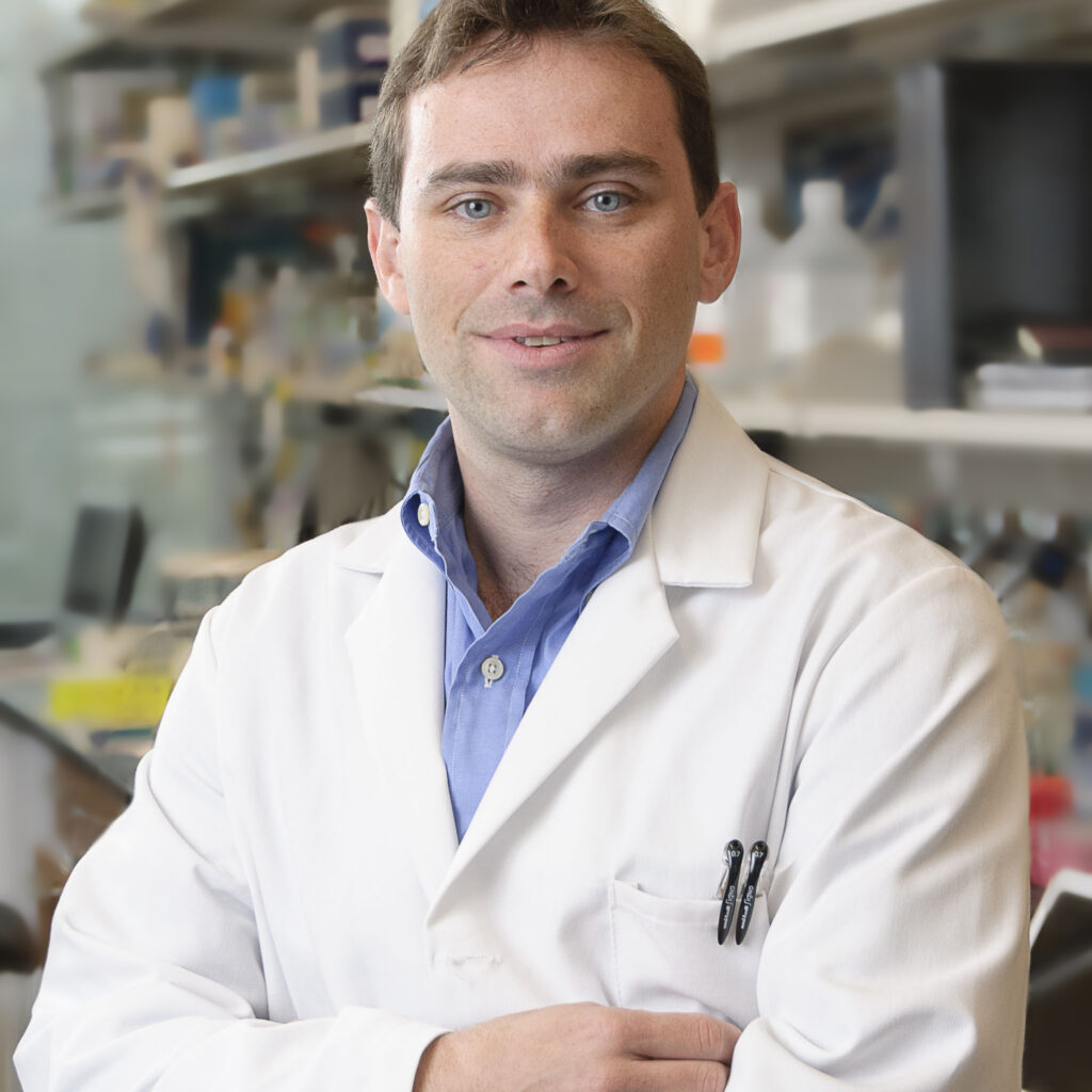 Portrait photo of David Solit