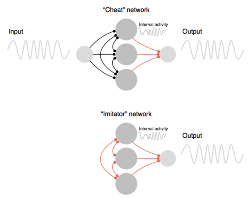 Graph showing how the cheater network (top) receives the desired output as an input. Combined with strong, random recurrent connections (black), this input allows the network to produce the desired output trivially through a set of learned output connections (red). The imitator network (bottom) does not receive an external input. Instead it must copy the activity of every neuron in the cheater network (one example is shown) by modifying its recurrent connections (red) so that it can produce the desired output