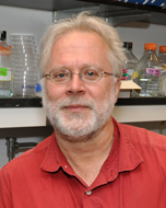 A man with gray hair and a beard, wearing glasses and a red shirt, sits in a laboratory with bottles and glassware on shelves behind him.