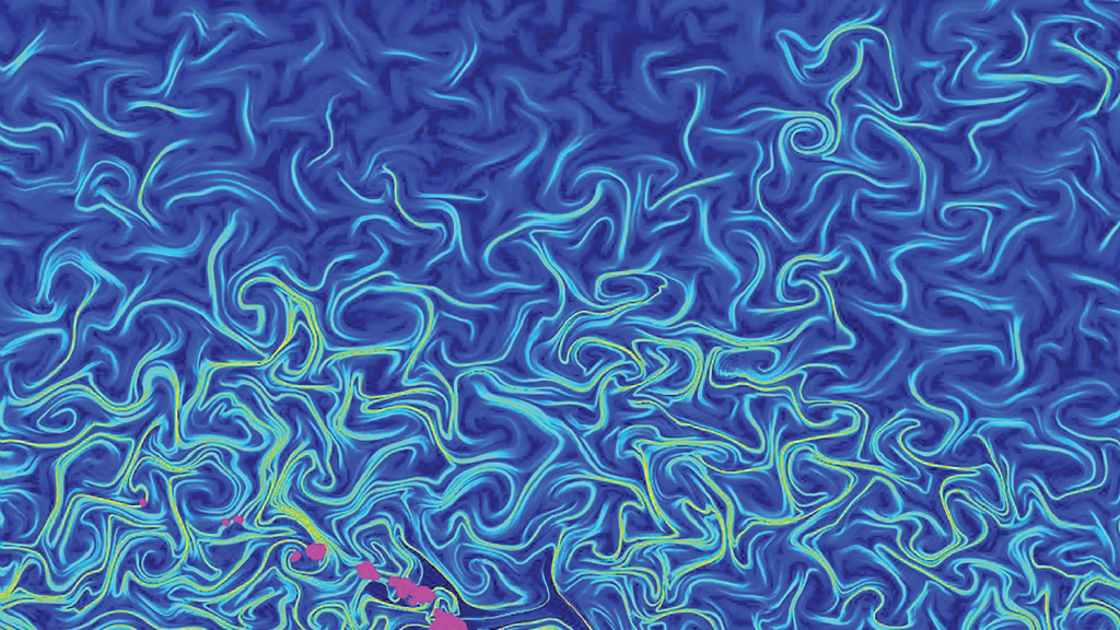 Mathematical model of microbe populations by Hawai'i