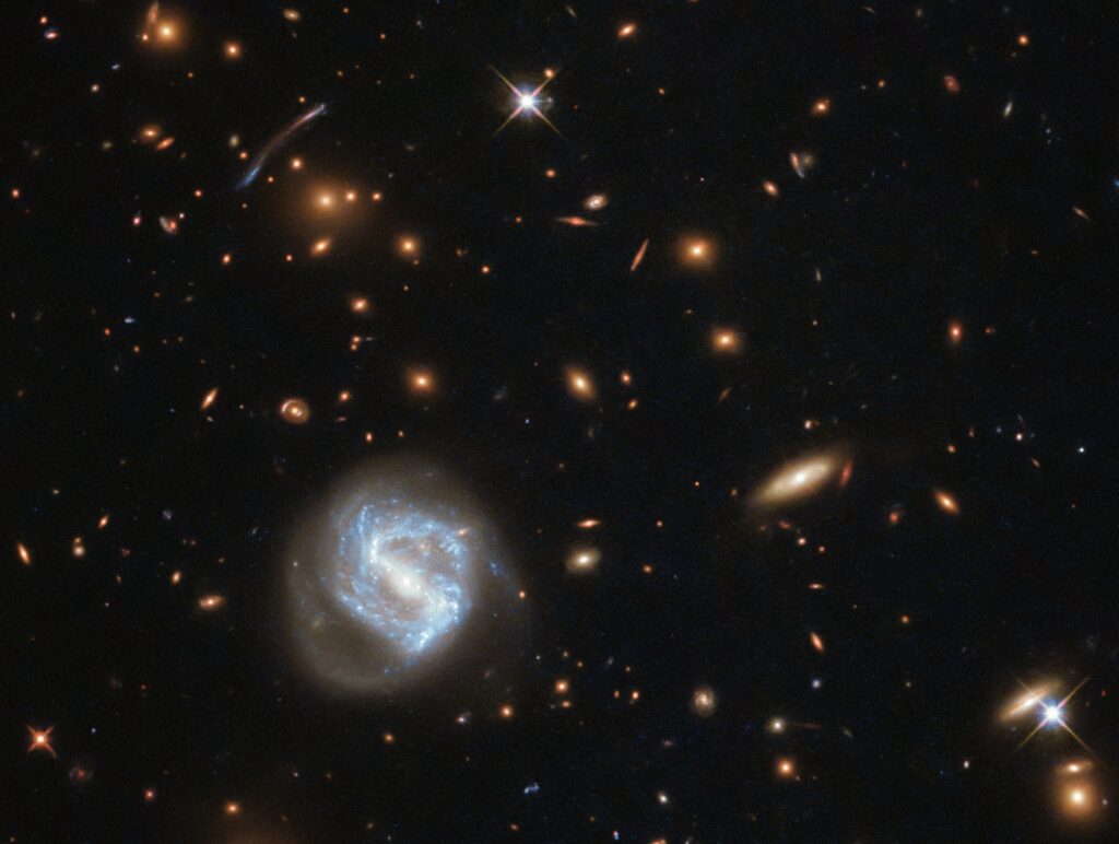 Clusters of Galaxies
