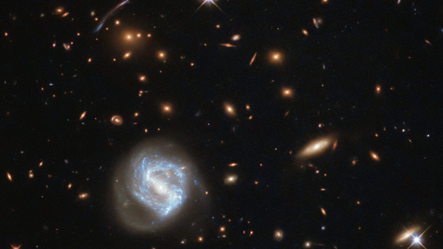 Clusters of Galaxies