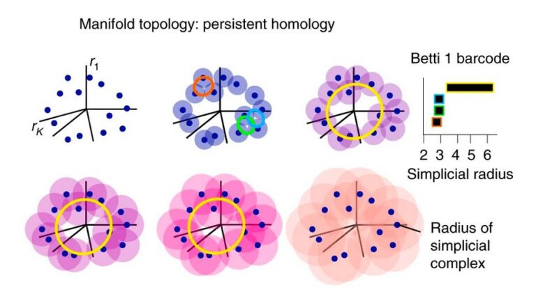 Digital illustration of manifold topology: persistent homology