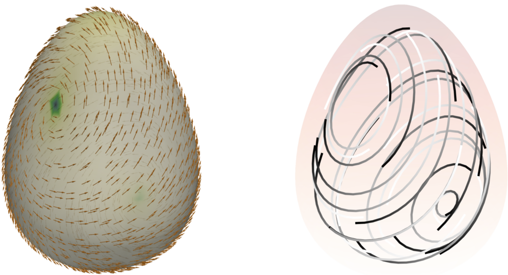 A textured oval object with brown arrows on the left, next to a wireframe oval with black curved lines on a light pink background on the right.