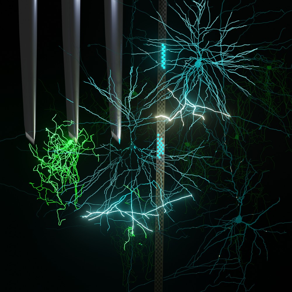Neuropixels and Utah arrays shown side by side with neurons