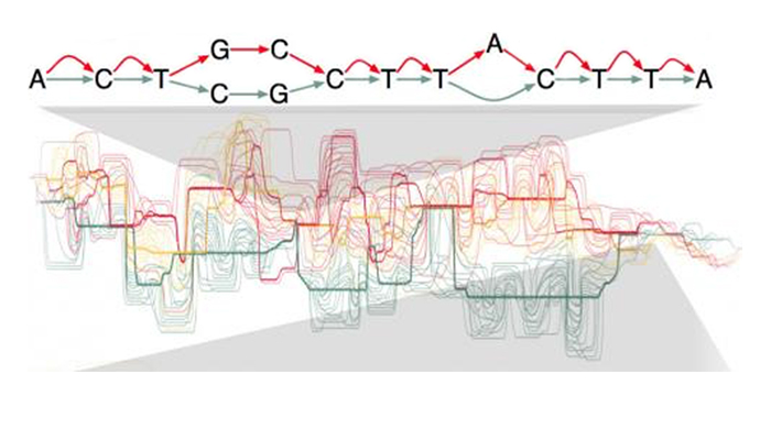 A DNA sequence with letters A, C, T, and G is shown above overlapping, multicolored, wavy lines representing complex data or signal patterns related to the sequence.