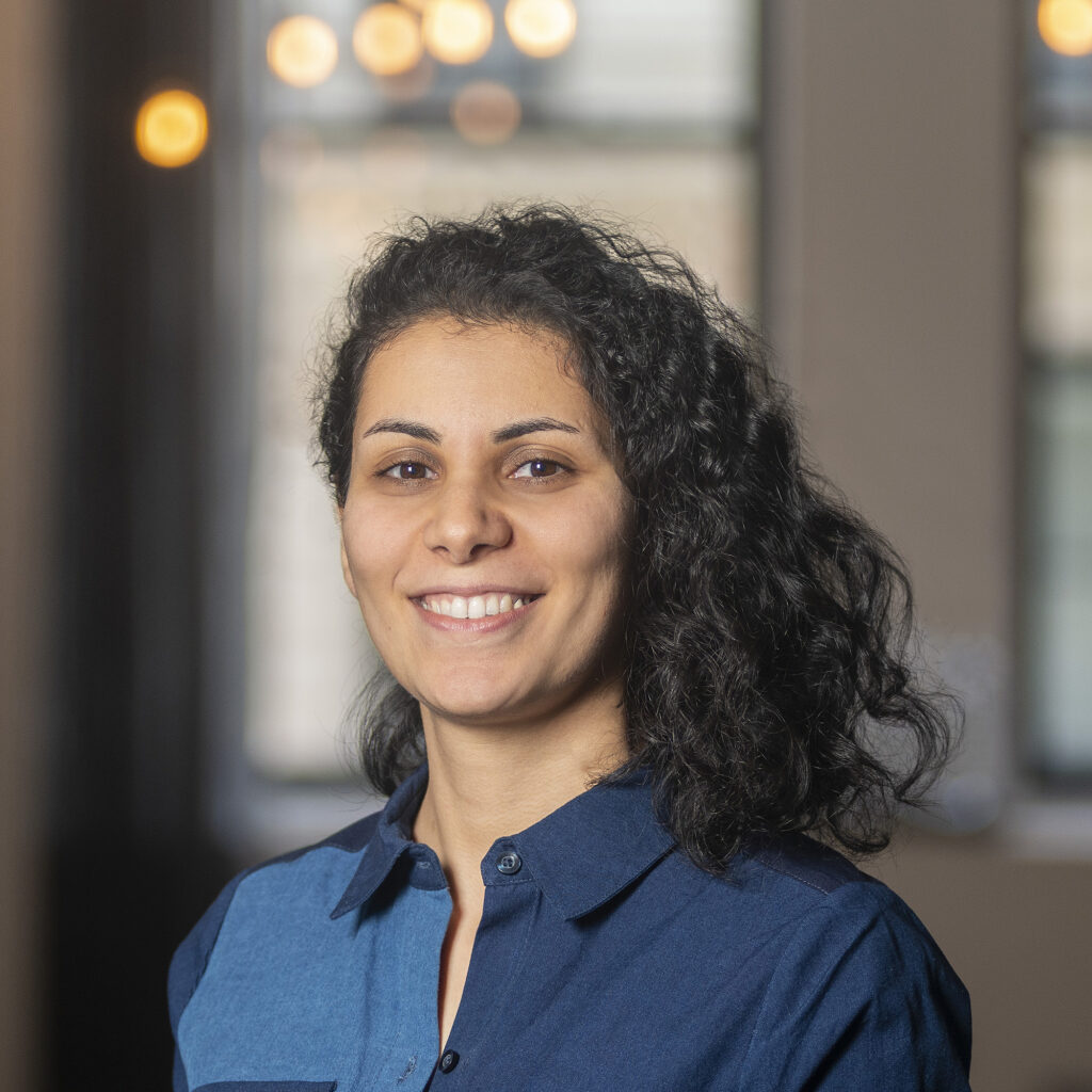 Portrait photo of Shiva Farashahi