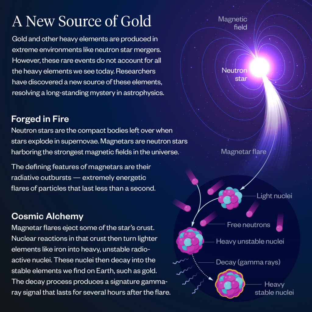 An infographic explaining how flares from stars called magnetars produce heavy elements.