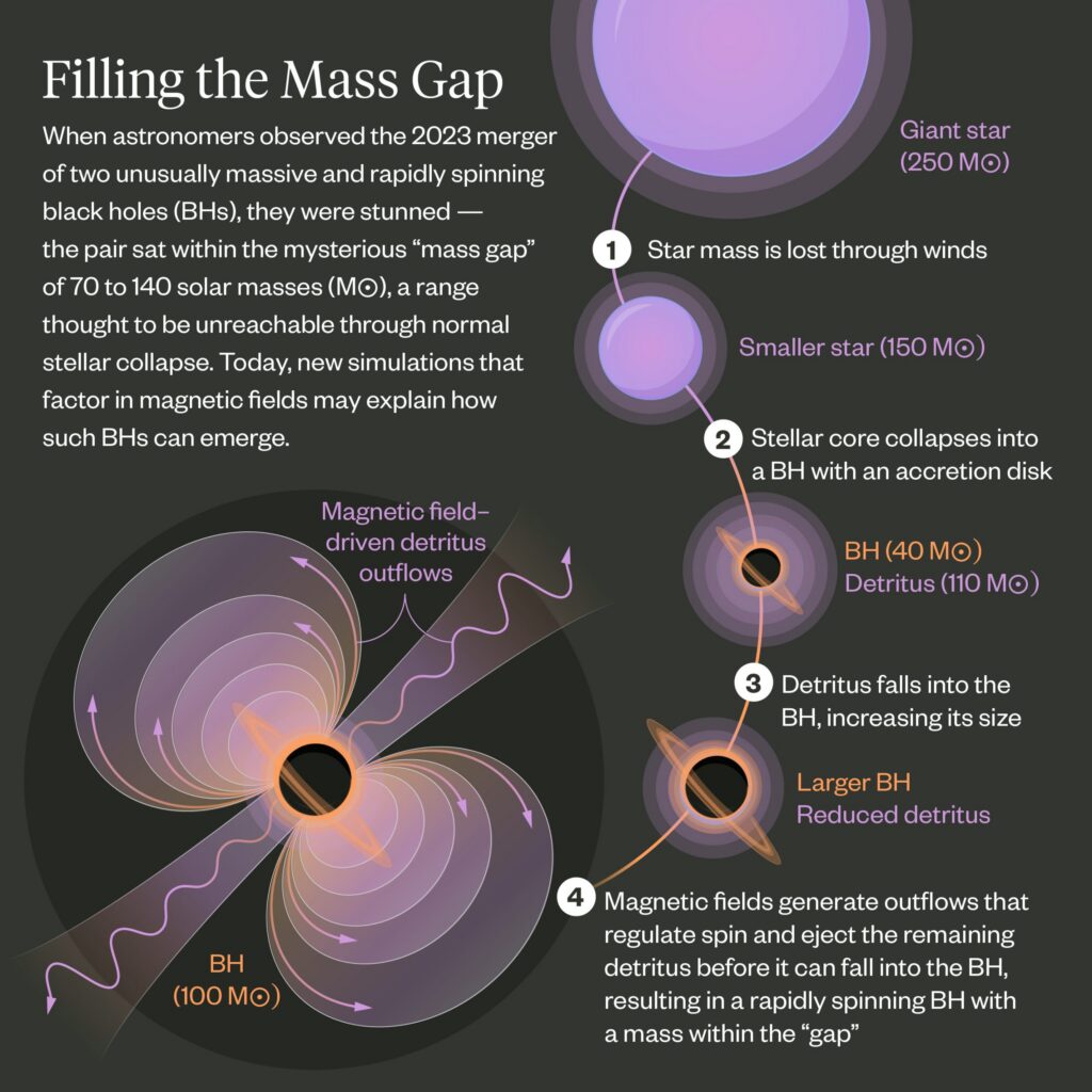 Infographic showing the steps of a massive star collapsing into a black hole.