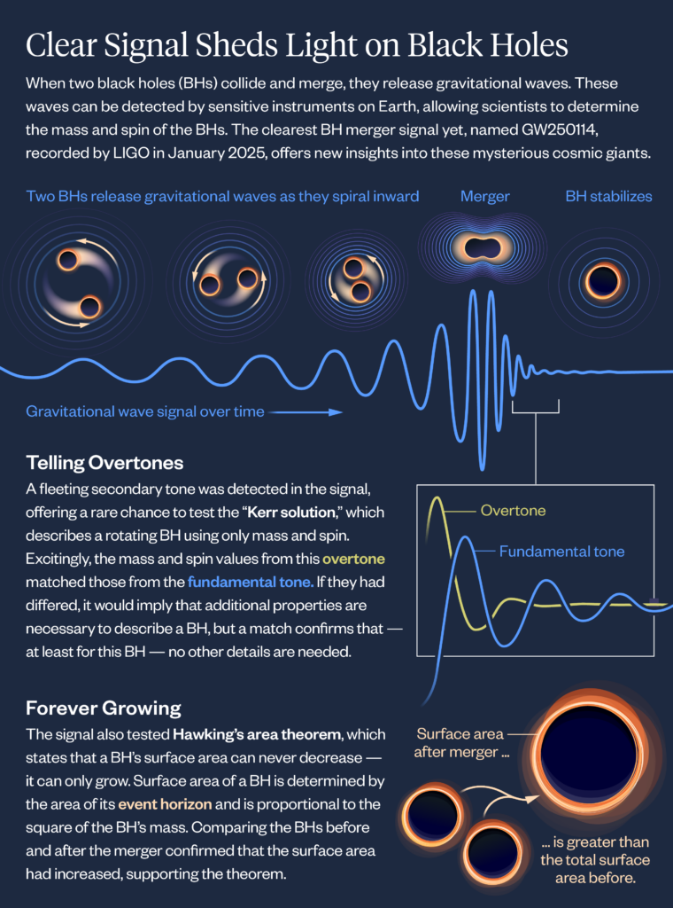 An infographic explaining new findings regarding black holes