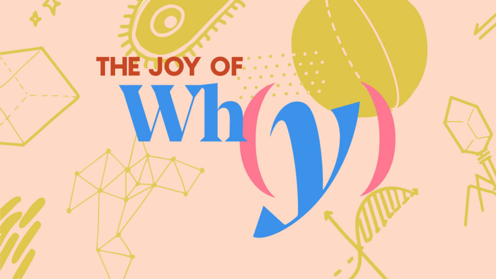A digital illustration showing the title of 